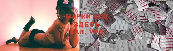 гидра Бородино