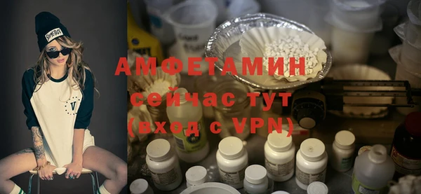 гидра Бородино