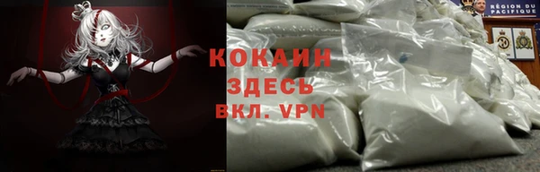 мяу мяу мука Михайлов