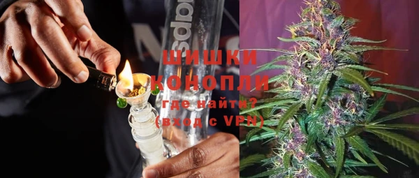 гидра Бородино