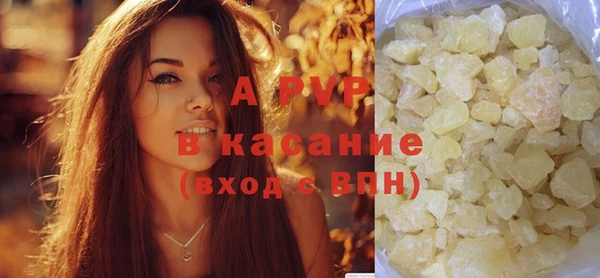 spice Богородск
