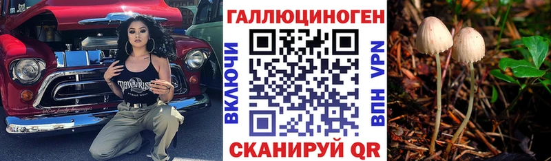 гидра ссылка  хочу   Верхний Тагил  Галлюциногенные грибы Psilocybine cubensis 